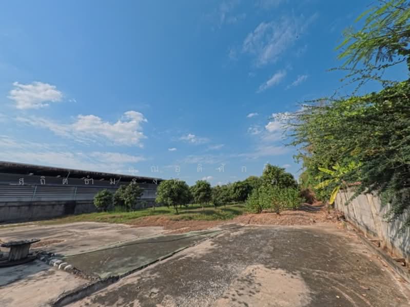 ที่ดิน ถ.ปู่เจ้าสมิงพราย ต.สำโรงใต้ อ.พระประแดง จ.สมุทรปราการ 10130, สมุทรปราการ, ปู่เจ้าสมิงพราย, สำโรงใต้, พระประแดง, สมุทรปราการ, 6,688 ตร.ม., ที่ดิน ขาย, โดย คุณอดิศักดิ์ สถิตธำมรงค์  , คุณบุษบง บุญมีเจริญพันธ์, 500132134 - DDproperty.com