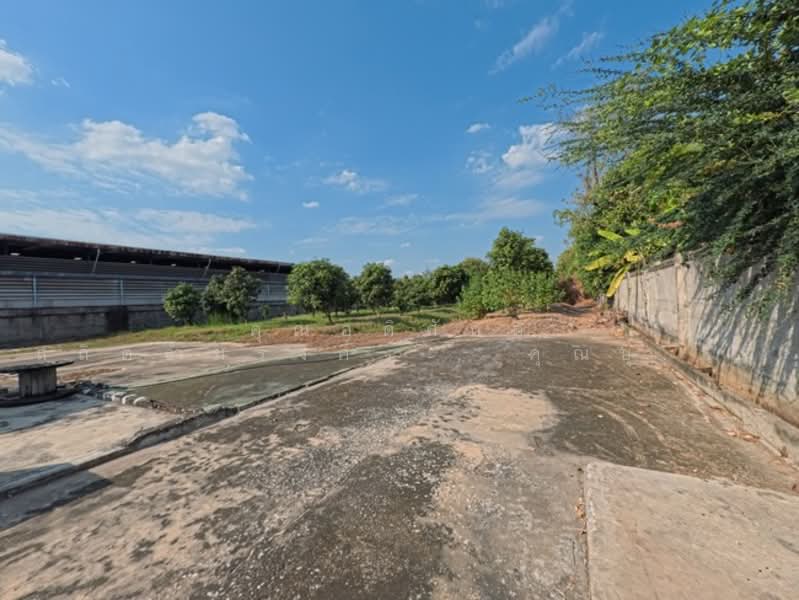 ที่ดิน ถ.ปู่เจ้าสมิงพราย ต.สำโรงใต้ อ.พระประแดง จ.สมุทรปราการ 10130, Samut Prakan, ปู่เจ้าสมิงพราย, Sam Rong Tai, Phra Pra Daeng, Samut Prakan, , 6,688 sqm, Land For Sale, by คุณอดิศักดิ์ สถิตธำมรงค์  , คุณบุษบง บุญมีเจริญพันธ์, 500132134 - DDproperty.com