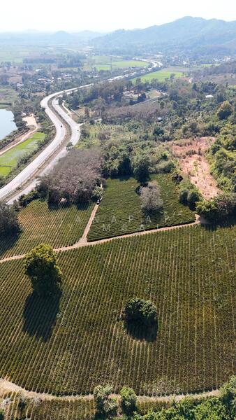 ขาย - แม่จัน, เชียงราย