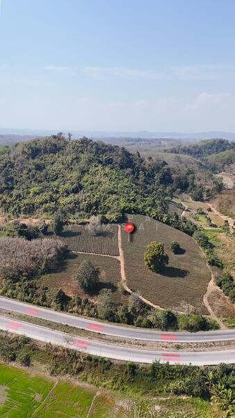 ขาย - แม่จัน, เชียงราย