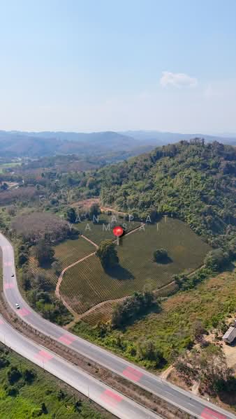 แม่จัน, Chiang Rai, แม่จัน - เชียงแสน, Tha Kao Pluak, Mae Chan, Chiang Rai, , 26,388 sqm, Land For Sale, by Tanapat Yamsai, 500132314 - DDproperty.com