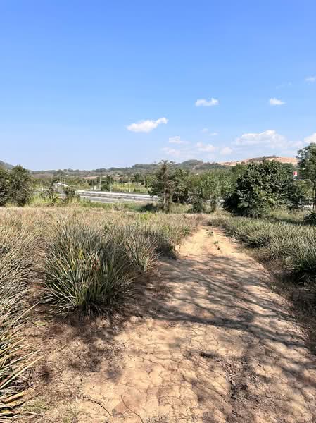 แม่จัน, Chiang Rai, แม่จัน - เชียงแสน, Tha Kao Pluak, Mae Chan, Chiang Rai, , 26,388 sqm, Land For Sale, by Tanapat Yamsai, 500132314 - DDproperty.com