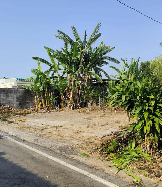 ขาย - ขาย ที่ดินเปล่า 100 วา เมือง มุกดาหาร, มุกดาหาร