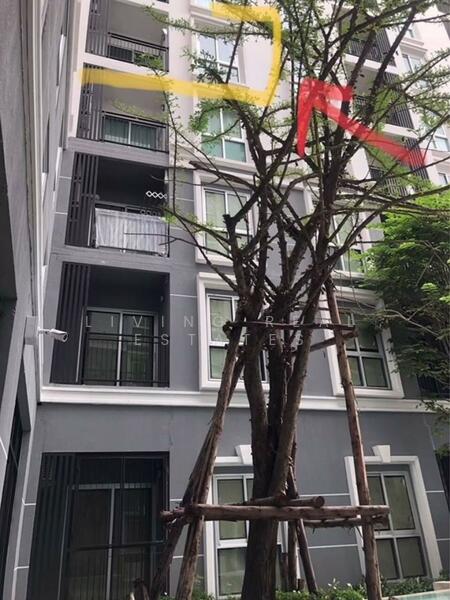 ขาย - Plum Condo Chaengwattana Station Phase 2 : พลัมคอนโด แจ้งวัฒนะ สเตชั่น เฟส 2, กรุงเทพ