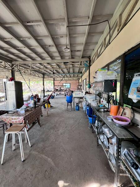 ขาย - ขายบ้านสวน 2 ชั้น พร้อมที่ดิน 4 ไร่ 3 งาน 5 ตรว. อ.พรหมบุรี จ.สิงห์บุรี ติดถนนทางหลวงหมายเลข 309, สิงห์บุรี