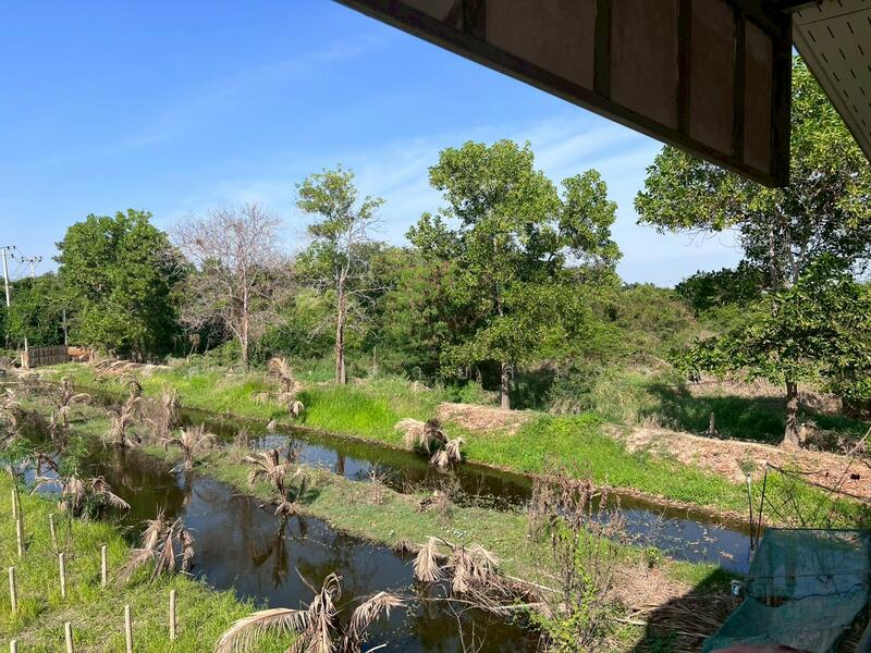 ขายบ้านสวน 2 ชั้น พร้อมที่ดิน 4 ไร่ 3 งาน 5 ตรว. อ.พรหมบุรี จ.สิงห์บุรี ติดถนนทางหลวงหมายเลข 309, Sing Buri, Rong Chang, Phrom Buri, Sing Buri, 2 Bedrooms, 150 sqm, Single Detached House For Sale, by อัศวิน สายสุวรรณ, 500133680 - DDproperty.com