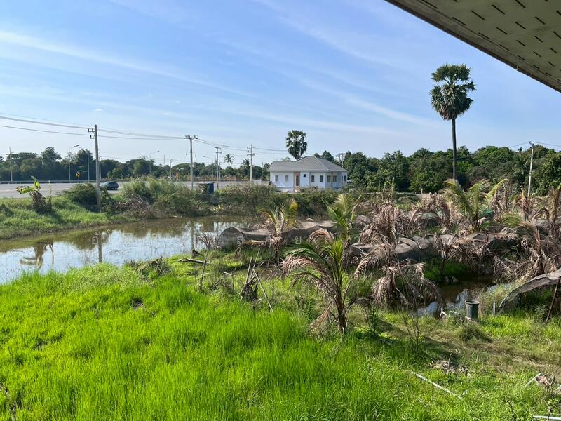 ขาย - ขายบ้านสวน 2 ชั้น พร้อมที่ดิน 4 ไร่ 3 งาน 5 ตรว. อ.พรหมบุรี จ.สิงห์บุรี ติดถนนทางหลวงหมายเลข 309, สิงห์บุรี