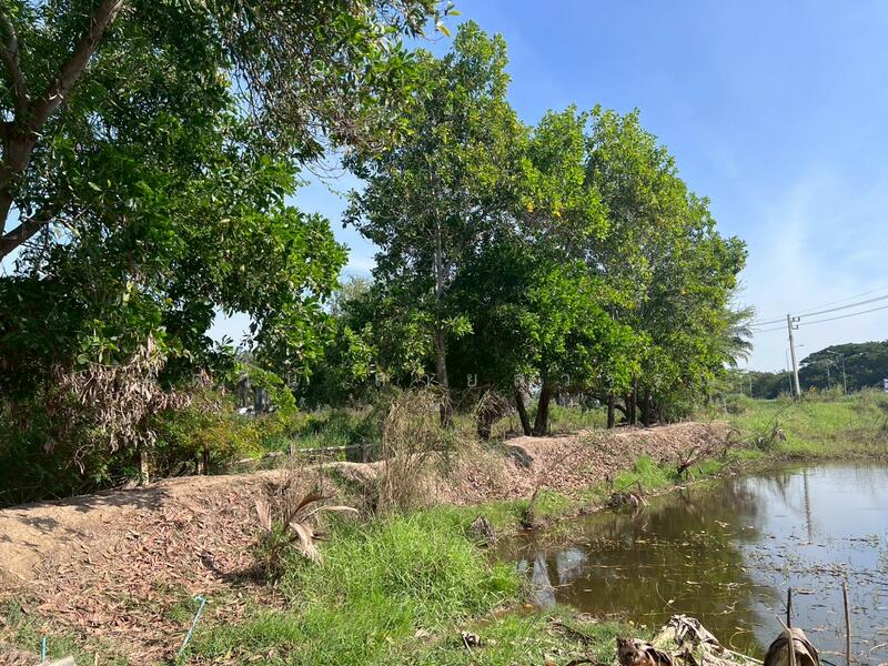 ขาย - ขายบ้านสวน 2 ชั้น พร้อมที่ดิน 4 ไร่ 3 งาน 5 ตรว. อ.พรหมบุรี จ.สิงห์บุรี ติดถนนทางหลวงหมายเลข 309, สิงห์บุรี