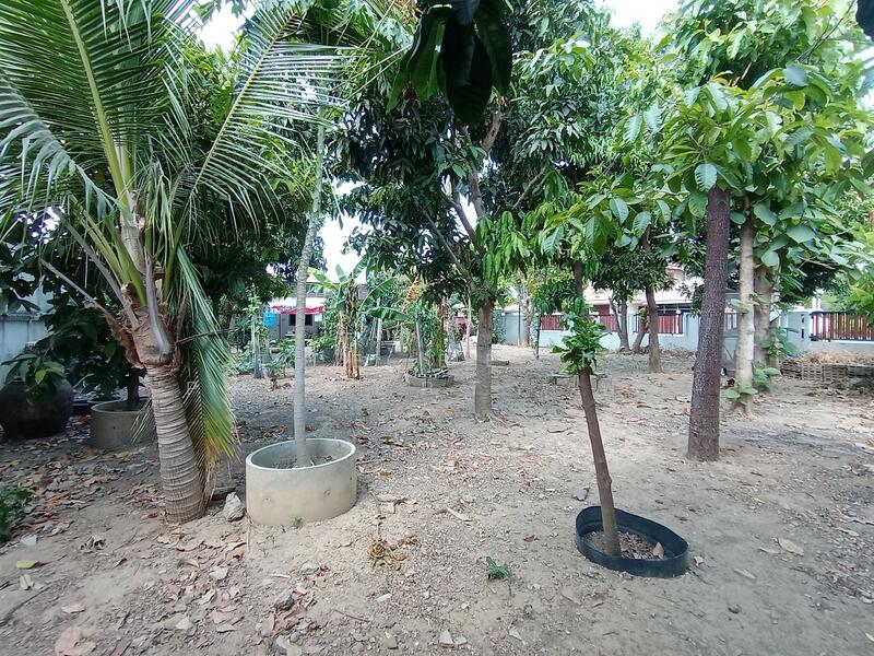 ขาย - บ้านเดี่ยวพร้อมห้องพักท่ามะกา กาญจนบุรี, กาญจนบุรี