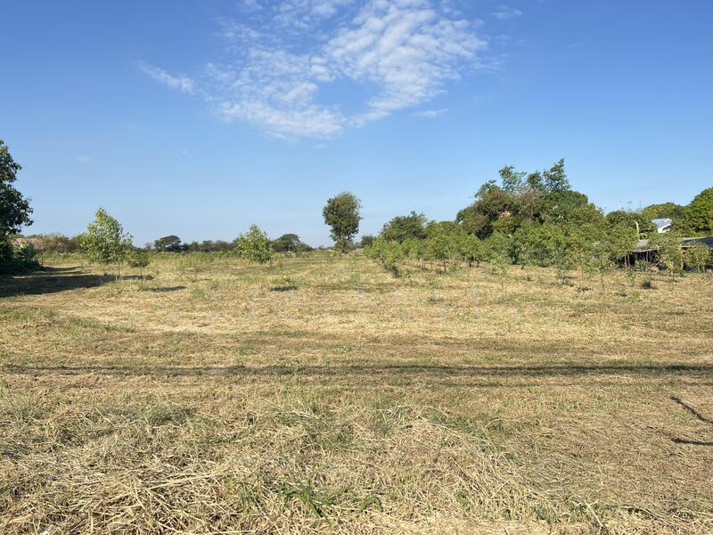 ขาย - ขายที่ดิน, สระบุรี