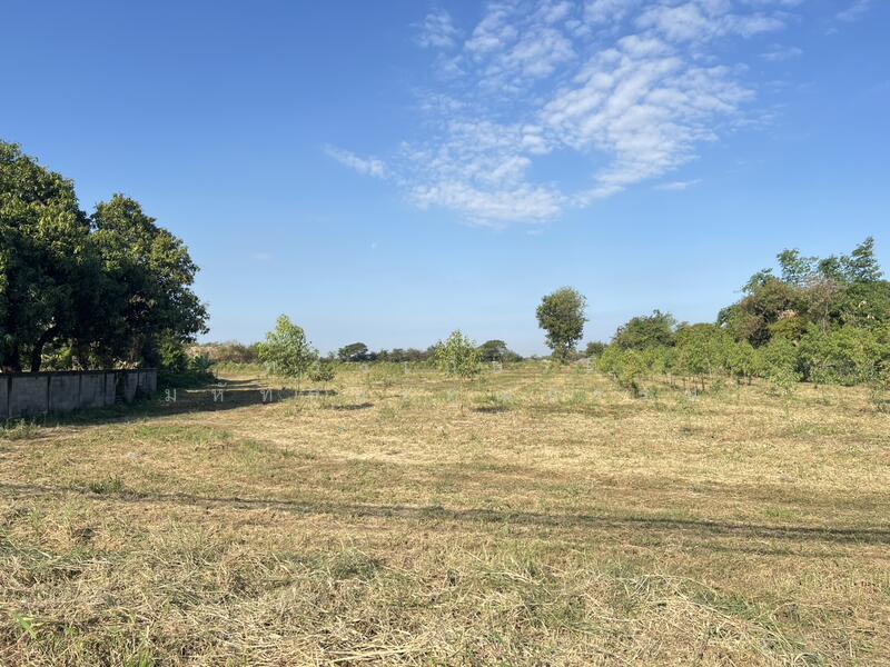 ขาย - ขายที่ดิน, สระบุรี