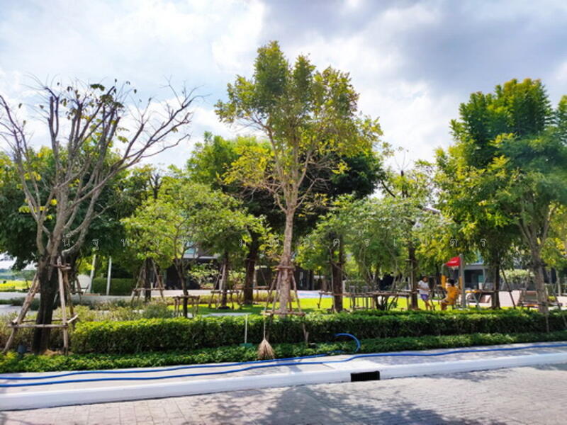 ให้เช่า - Baan Klang Muang The Edition Rama 9-Krungthep Kreetha : บ้านกลางเมือง ดิ อิดิชั่น พระราม9-กรุงเทพกรีฑา, กรุงเทพ