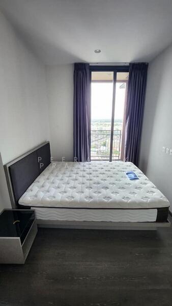 Oka Haus Sukhumvit 36, Bangkok, 3399 Rama 4 Road, Khong Tan, Khlong Toei, Bangkok, 1 Bedroom, 34 sqm, Condo For Rent, by Peerasak Pramuanratakan, 500134548 - DDproperty.com