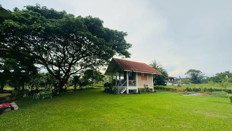 For Sale - บ้านเดี่ยวหนองจอก กรุงเทพมหานคร, Bangkok