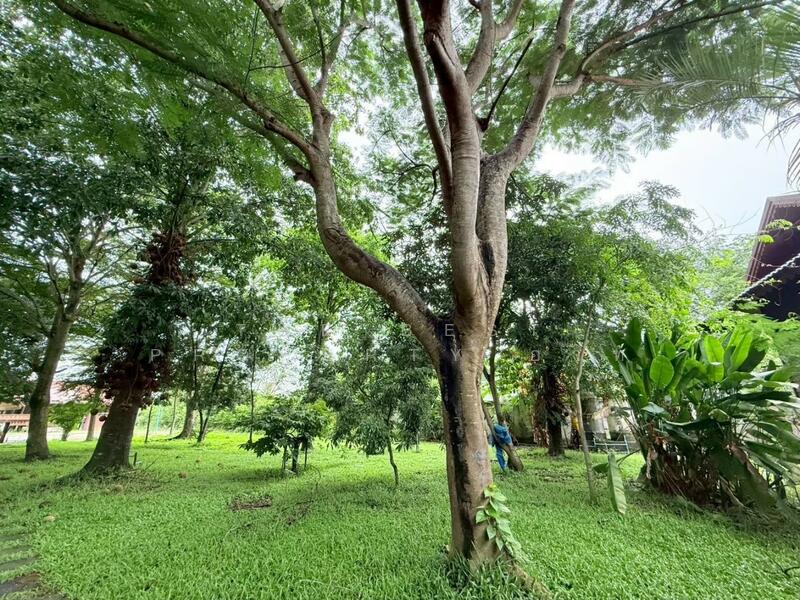 For Sale - บ้านเดี่ยวหนองจอก กรุงเทพมหานคร, Bangkok