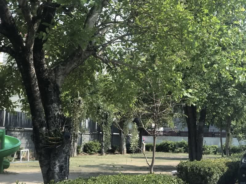 The Trop 2 Motorway-Ladkrabang, Bangkok, Prachapattana Road, Thab Yao, Lat Krabang, Bangkok, 3 Bedrooms, 230 sqm, Townhouse For Rent, by ณปภัช ธวงค์ไพ, 500135037 - DDproperty.com