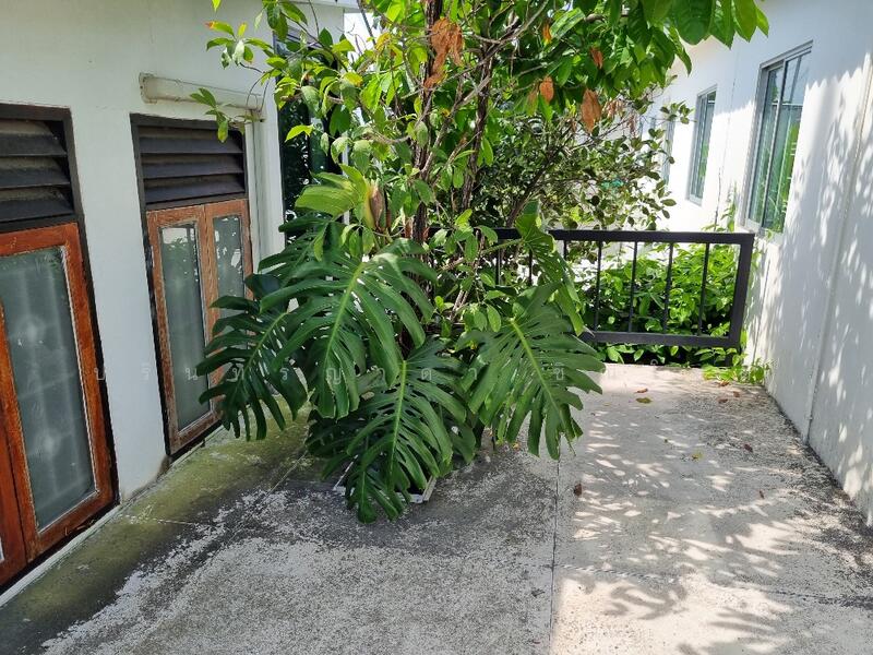 For Rent - The connect 15 onnut, Bangkok