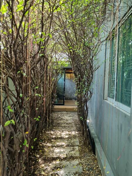 For Rent - The connect 15 onnut, Bangkok