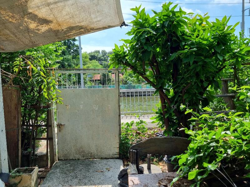 For Rent - The connect 15 onnut, Bangkok