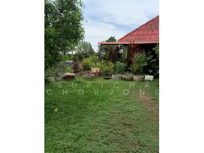 ขาย - บ้าน 2-ห้องนอน, ชลบุรี