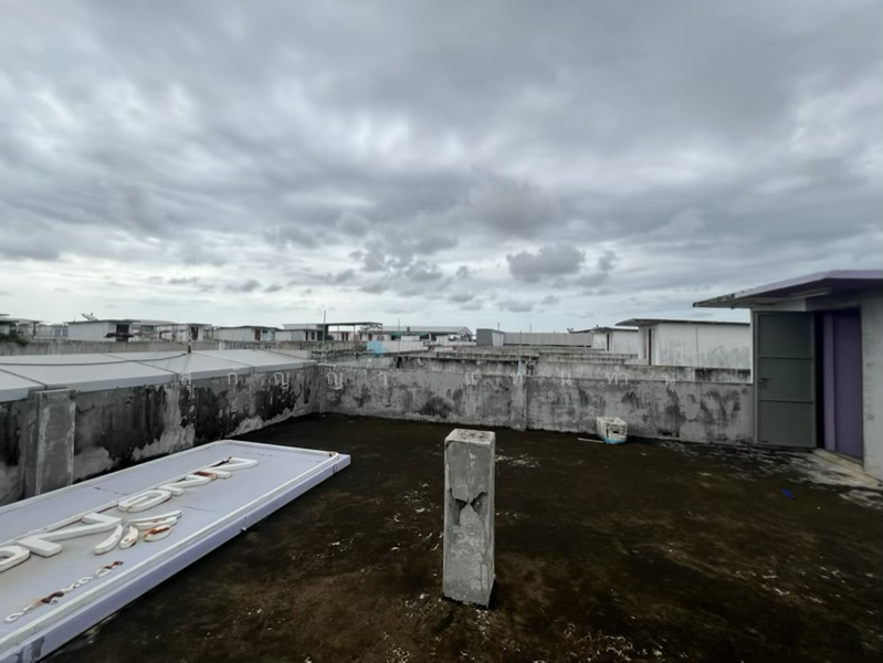 ตึกแถว/อาคารพาณิชย์ โครงการมั่งมีศรีสุข - ปากซอยพันท้ายนรสิงห์, สมุทรสาคร, พระราม 2, พันท้ายนรสิงห์, เมืองสมุทรสาคร, สมุทรสาคร, 784 ตร.ม., ตึกแถว-อาคารพาณิชย์ ขาย, โดย สุกัญญา แทนทำนุ, 500135505 - DDproperty.com