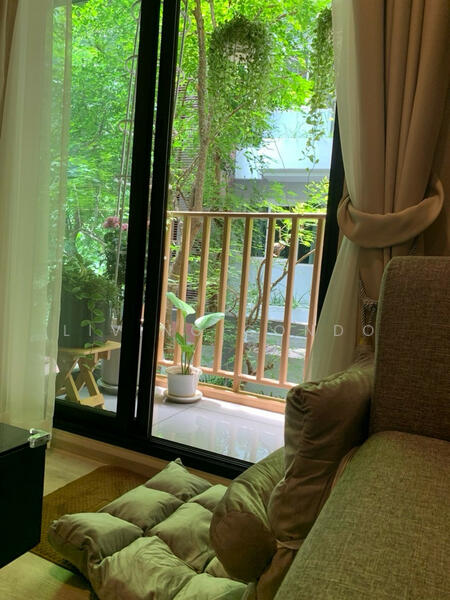 Quintara Arte Sukhumvit 52, Bangkok, Soi Sukhumvit 52, Sukhumvit Road, Bang Chak, Phra Khanong, Bangkok, 1 Bedroom, 37 sqm, Condo For Rent, by Living Condo, 500135522 - DDproperty.com