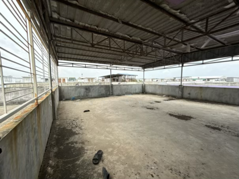 ตึกแถว/อาคารพาณิชย์ โครงการมั่งมีศรีสุข - ปากซอยพันท้ายนรสิงห์, สมุทรสาคร, พระราม 2, พันท้ายนรสิงห์, เมืองสมุทรสาคร, สมุทรสาคร, 784 ตร.ม., ตึกแถว-อาคารพาณิชย์ ขาย, โดย สุกัญญา แทนทำนุ, 500135587 - DDproperty.com