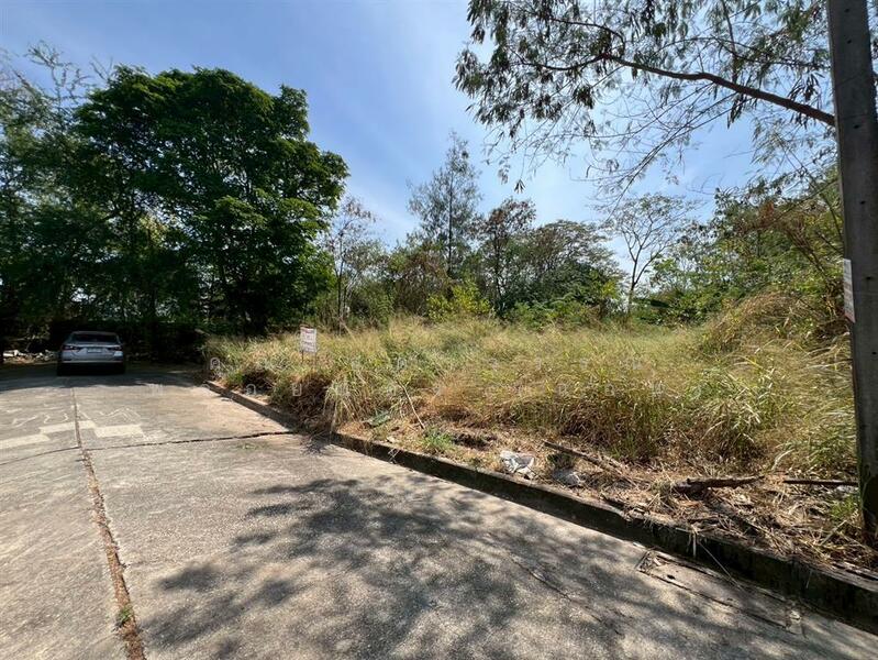 ขาย - ที่ดินเปล่า 80 ตร.ว. หมู่บ้านสีวลี รังสิต 1 ซอยรังสิต-นครนายก50, ปทุมธานี