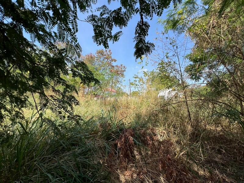 ขาย - ที่ดินเปล่า 80 ตร.ว. หมู่บ้านสีวลี รังสิต 1 ซอยรังสิต-นครนายก50, ปทุมธานี