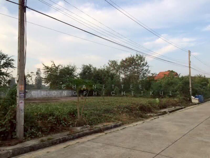 ขาย - ขายที่ดินเเปลงสวย 132.5 ตร.วา ในหมู่บ้านทองธัชการ ต.ถนนขาด จ.นครปฐม, นครปฐม