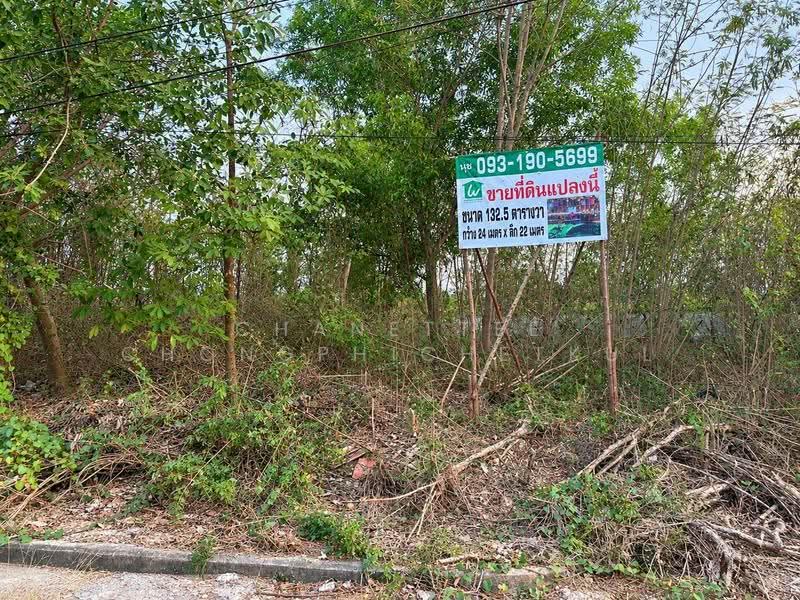 ขายที่ดินเเปลงสวย 132.5 ตร.วา ในหมู่บ้านทองธัชการ ต.ถนนขาด จ.นครปฐม, นครปฐม, ถนนขาด, เมืองนครปฐม, นครปฐม, 528 ตร.ม., ที่ดิน ขาย, โดย Chanettee Chongphichetkul, 500136078 - DDproperty.com