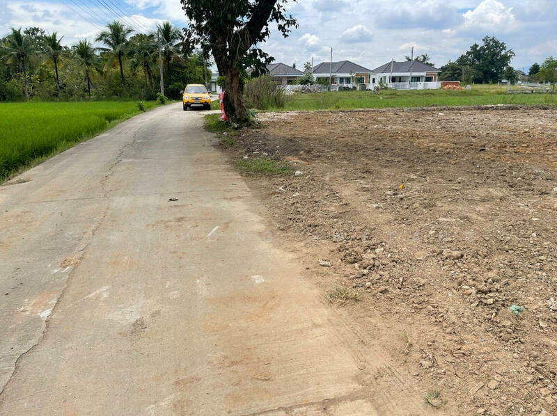 For Sale - Land for sale 244 sq.wa, Doi Suthep mountain views, 15 minutes from Central Festival, Chiang Mai