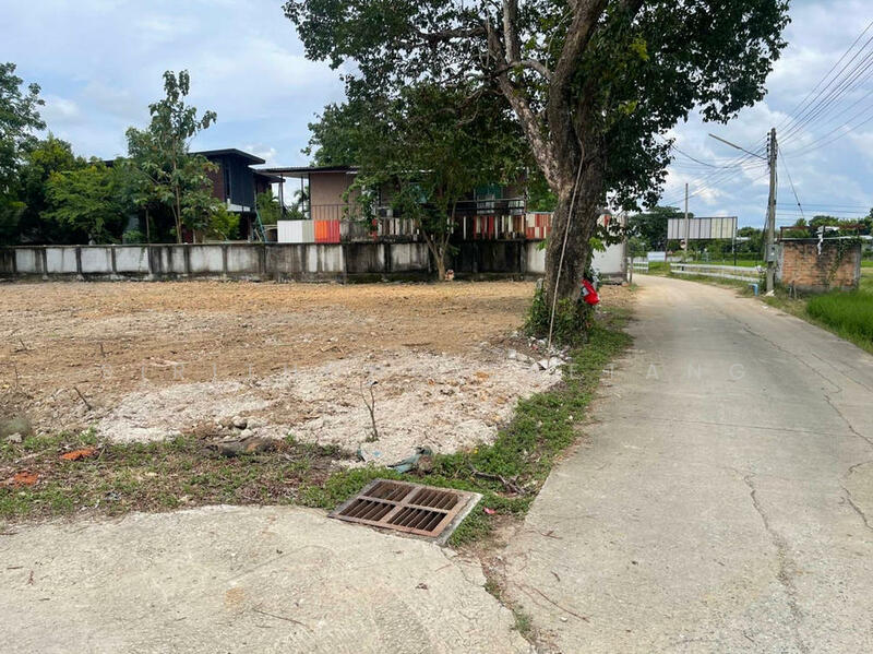 For Sale - Land for sale 244 sq.wa, Doi Suthep mountain views, 15 minutes from Central Festival, Chiang Mai