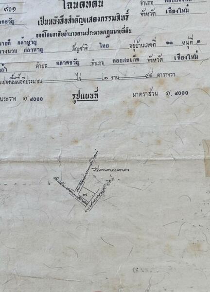 ขาย - ขายที่ดินถมแล้ว วิวดอยสุเทพ 244 ตารางวา ตำบลตลาดขวัญ อำเภอดอยสะเก็ด เชียงใหม่, เชียงใหม่