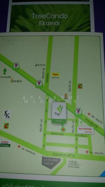Tree Condo Ekamai, Bangkok, Soi Samanand, Rama 4 Road, Phra Kanong, Khlong Toei, Bangkok, 1 Bedroom, 40 sqm, Condo For Rent, by Aparasmi Mengoon, 500136677 - DDproperty.com