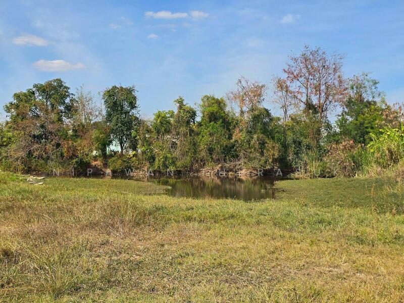 ขาย - สูงเนิน, นครราชสีมา