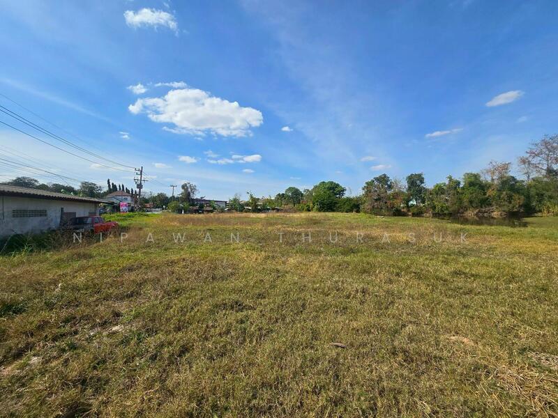 ขาย - สูงเนิน, นครราชสีมา