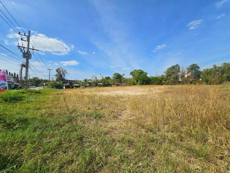 ขาย - สูงเนิน, นครราชสีมา