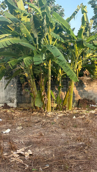 For Rent - ที่ดิน สนามบินน้ำ ให้เช่าฟรี 3 เดือน! / ขาย ถมแล้ว ขนาด 515 วา ที่สวยสี่เหลี่ยม พร้อมโรงรถและกำแพง, Nonthaburi