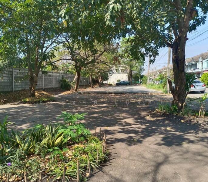 ขาย - เบญจพฤกษ์, ปทุมธานี