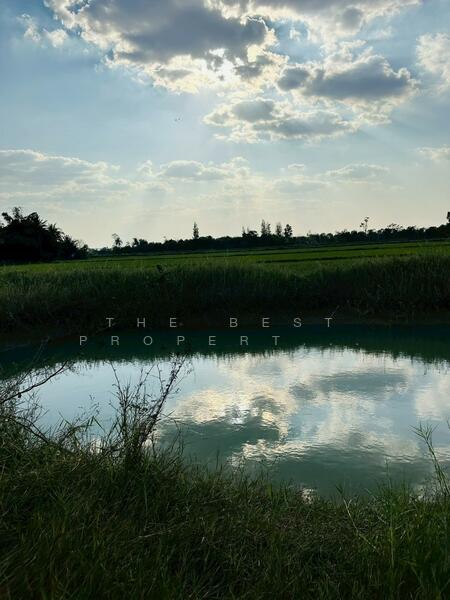ขาย - ที่ดินปักธงชัย นครราชสีมา, นครราชสีมา