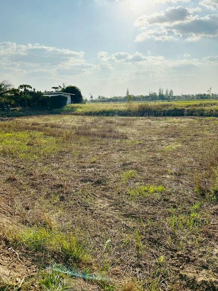 ที่ดินปักธงชัย นครราชสีมา, Nakhon Ratchasima, Ta Khu, Pak Thong Chai, Nakhon Ratchasima, , 1,752 sqm, Land For Sale, by The Best Property  นก, 500137601 - DDproperty.com