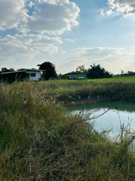 ที่ดินปักธงชัย นครราชสีมา, Nakhon Ratchasima, Ta Khu, Pak Thong Chai, Nakhon Ratchasima, , 1,752 sqm, Land For Sale, by The Best Property  นก, 500137601 - DDproperty.com