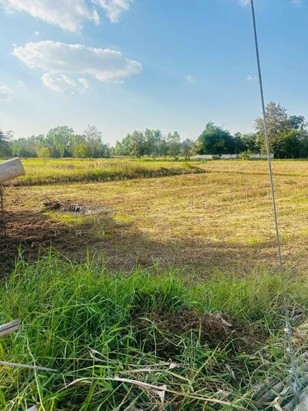 ที่ดินปักธงชัย นครราชสีมา, Nakhon Ratchasima, Ta Khu, Pak Thong Chai, Nakhon Ratchasima, , 1,752 sqm, Land For Sale, by The Best Property  นก, 500137601 - DDproperty.com