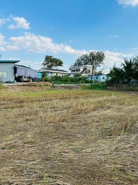 ที่ดินปักธงชัย นครราชสีมา, Nakhon Ratchasima, Ta Khu, Pak Thong Chai, Nakhon Ratchasima, , 1,752 sqm, Land For Sale, by The Best Property  นก, 500137601 - DDproperty.com