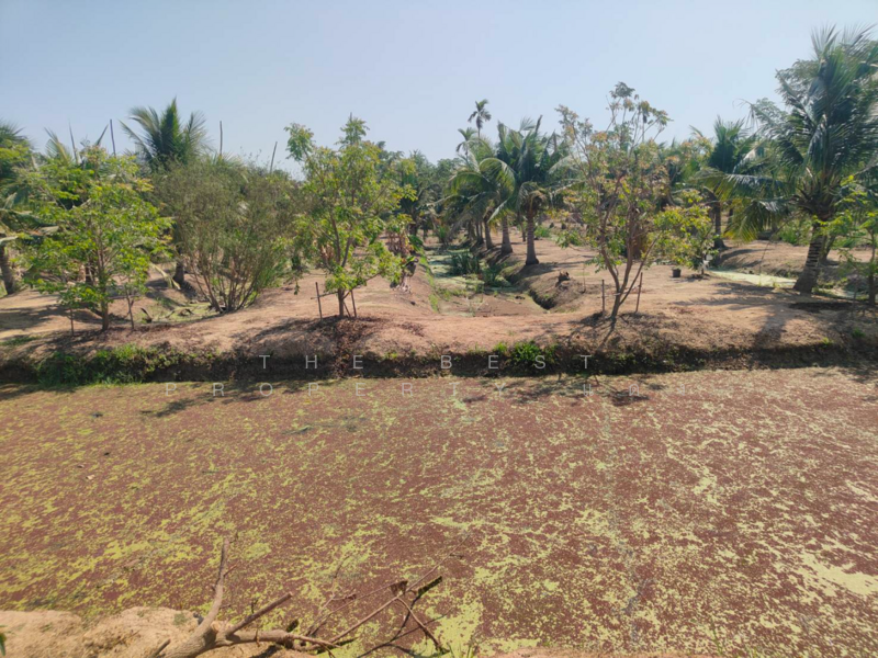 ที่ดินคลองเขื่อน ฉะเชิงเทรา, Chachoengsao, Bang Talat, Khlong Khuan, Chachoengsao, , 13,760 sqm, Land For Sale, by The Best Property แดง, 500137794 - DDproperty.com