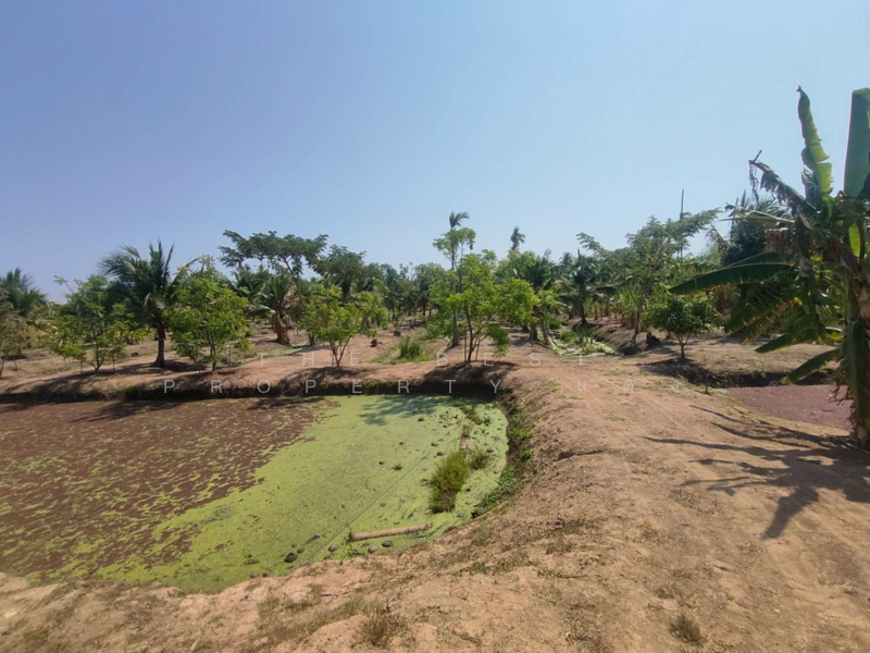 ที่ดินคลองเขื่อน ฉะเชิงเทรา, Chachoengsao, Bang Talat, Khlong Khuan, Chachoengsao, , 13,760 sqm, Land For Sale, by The Best Property แดง, 500137794 - DDproperty.com