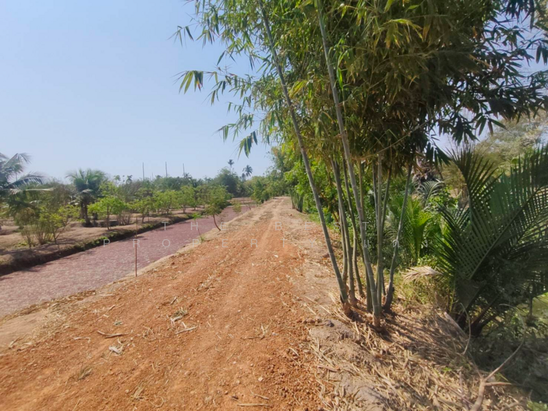 ที่ดินคลองเขื่อน ฉะเชิงเทรา, Chachoengsao, Bang Talat, Khlong Khuan, Chachoengsao, , 13,760 sqm, Land For Sale, by The Best Property แดง, 500137794 - DDproperty.com