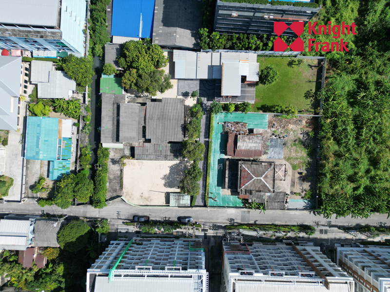 For Rent - ซอยเหลือสุข ถนนสุขุมวิท 50 แขวงพระโขนง เขตคลองเตย กรุงเทพฯ 10260, Bangkok