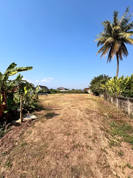 ที่ดินเปล่า ตัวเมืองอำเภอพาน เชียงราย, เชียงราย, พหลโยธิน, เมืองพาน, พาน, เชียงราย, 2,696 ตร.ม., ที่ดิน ขาย, โดย Tanapat Yamsai, 500138294 - DDproperty.com